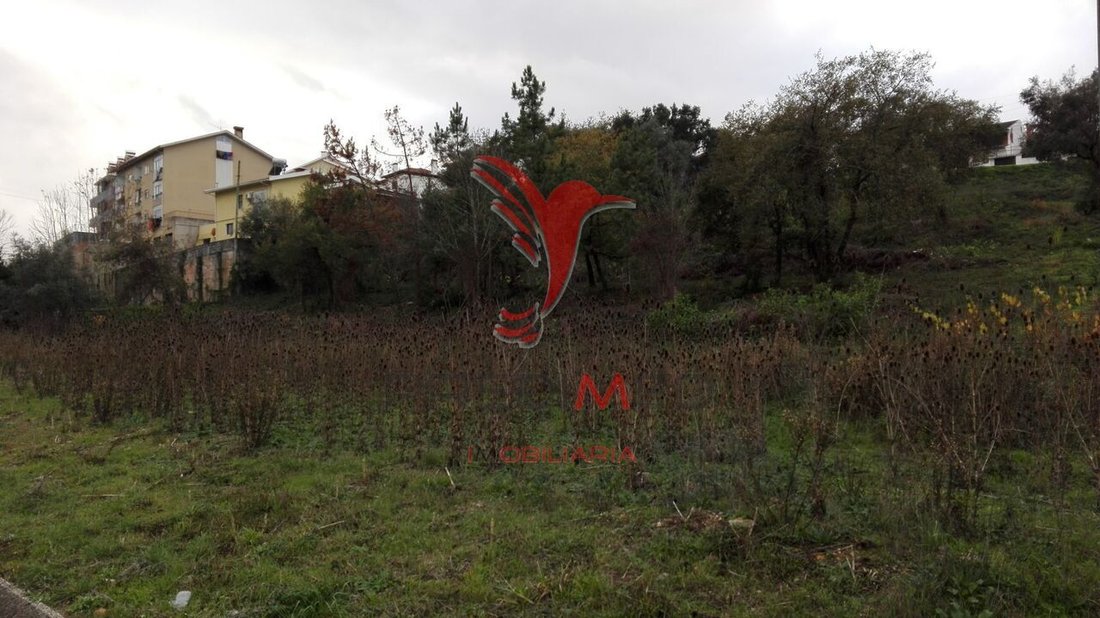 Land in Sao Martinho do Bispo e Ribeira de Frades, Coimbra District, Portugal 1 - 12863249
