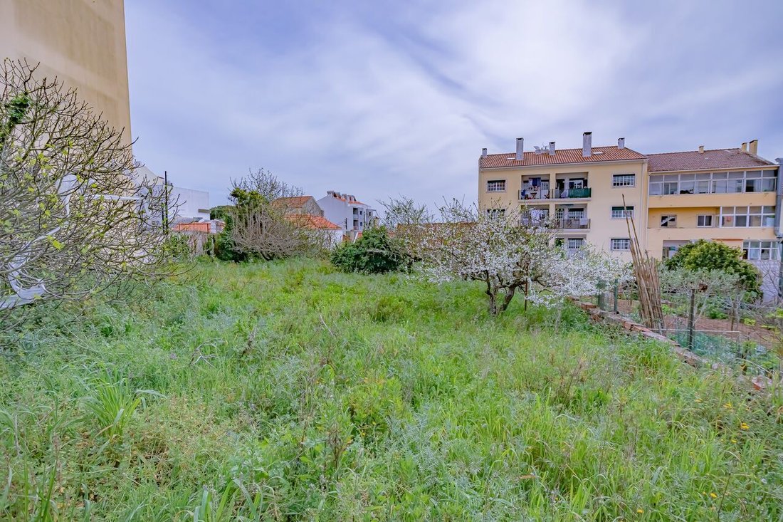Land Ericeira 10 Km, A Casa Das Casas In Ericeira, Lisbon, Portugal For