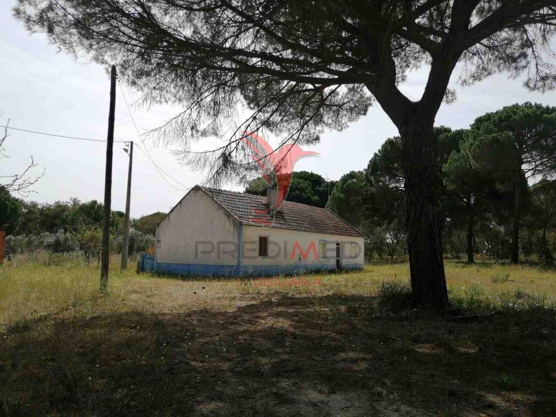 Farm Ranch in Grandola e Santa Margarida da Serra, Setubal, Portugal 5 - 12861133