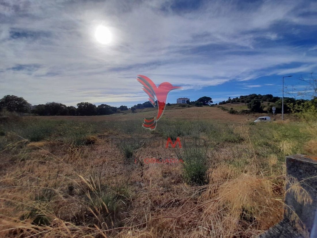 Land in Cidade de Santarem, Santarem District, Portugal 4 - 12861847