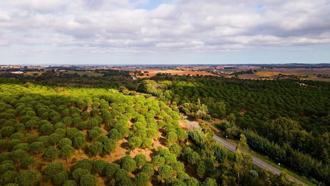 Farm Ranch in Beja, Beja, Portugal 1 - 12862634