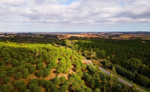 Farm Ranch in Beja, Beja, Portugal 1