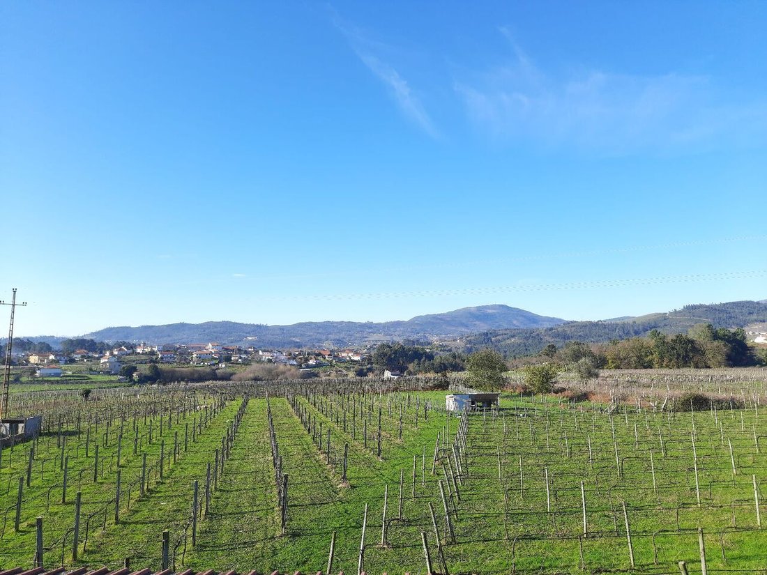 Farm Ranch in Messegaes, Valadares e Sa, Viana do Castelo District, Portugal 2 - 12859541