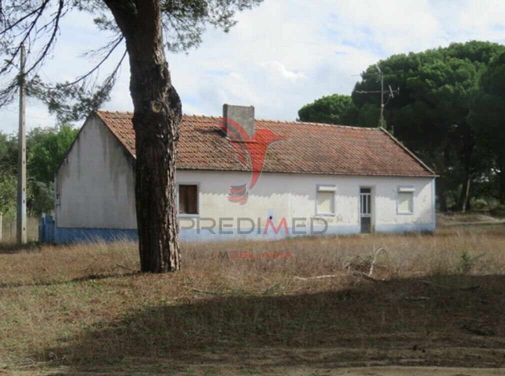 Farm Ranch in Grandola e Santa Margarida da Serra, Setubal, Portugal 3 - 12861133