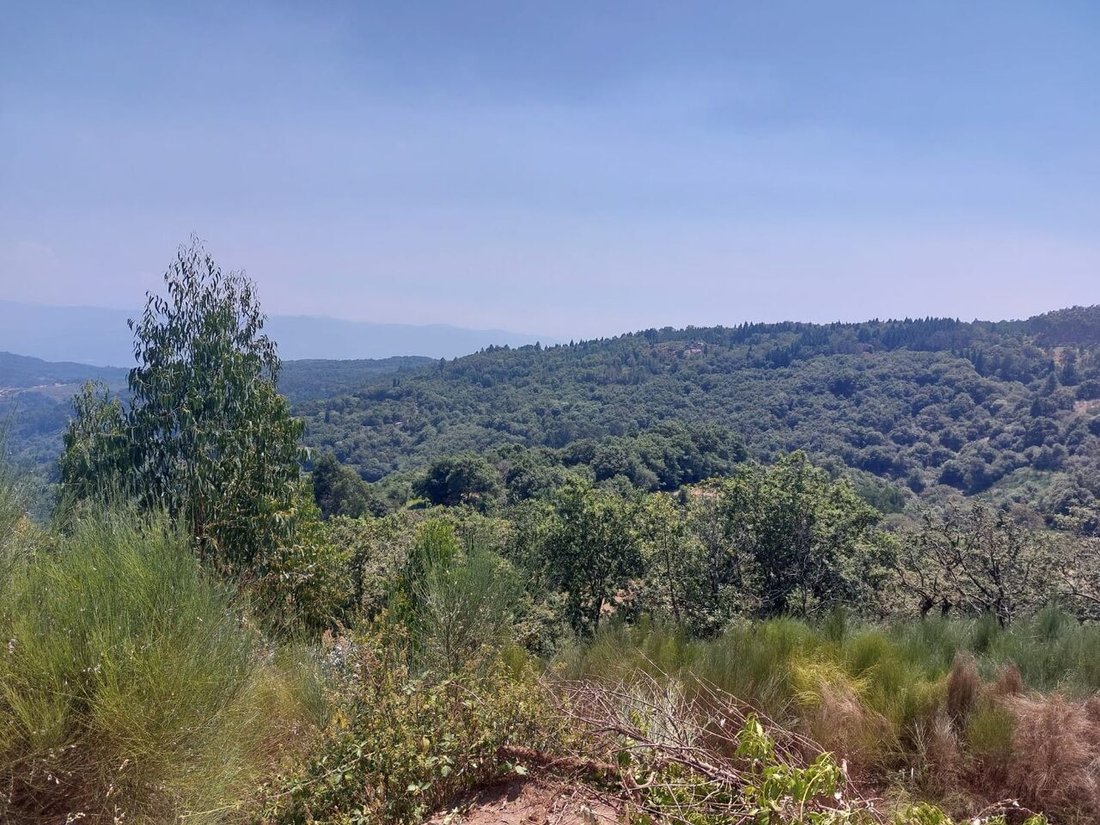 Land in Paco, Viana do Castelo District, Portugal 1 - 12858829