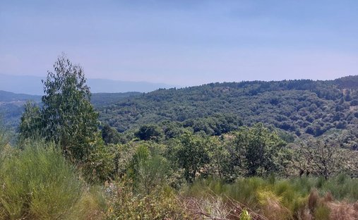 Land in Paco, Viana do Castelo District, Portugal 1