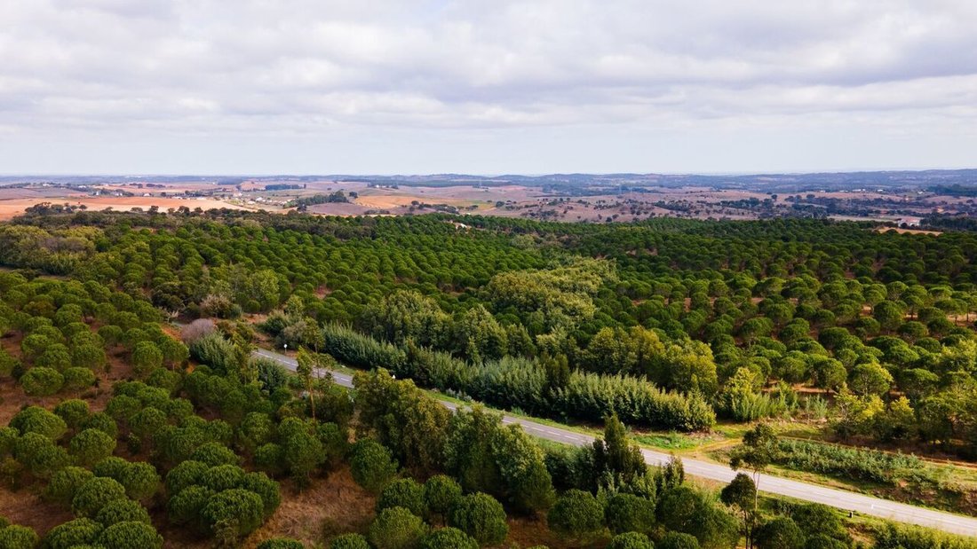 Farm Ranch in Beja, Beja, Portugal 3 - 12862634