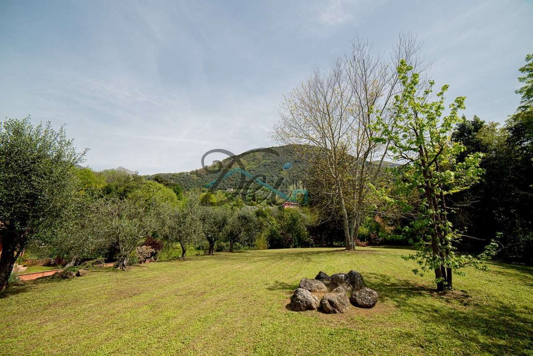 Estate in Camaiore, Tuscany, Italy 3 - 12865439