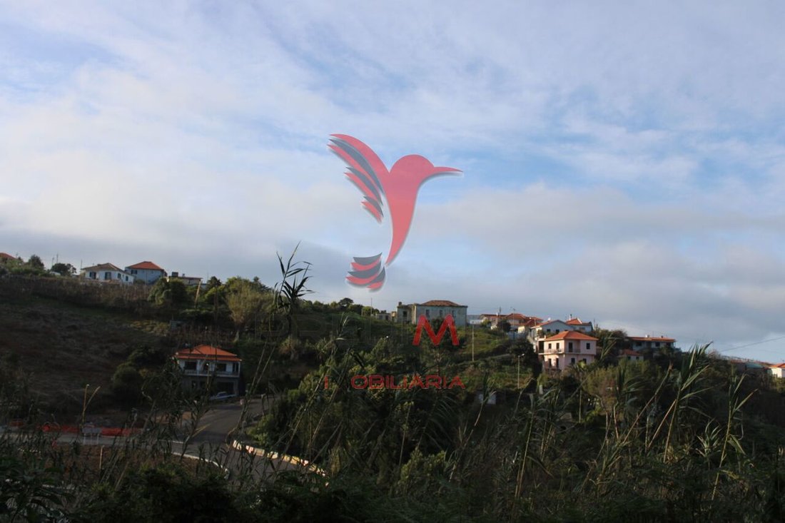 House in Sao Jorge, Madeira, Portugal 3 - 12861025