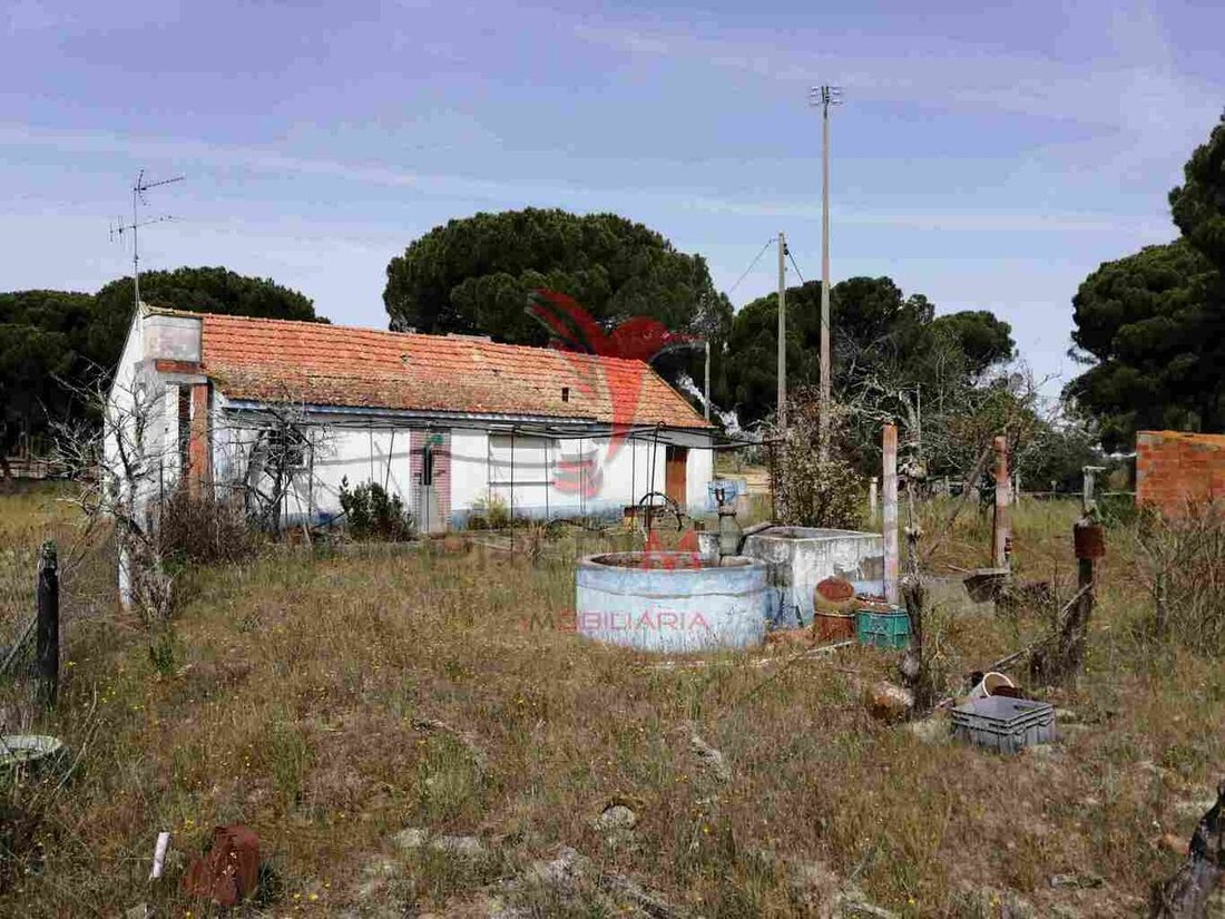 Farm Ranch in Grandola e Santa Margarida da Serra, Setubal, Portugal 1 - 12861133