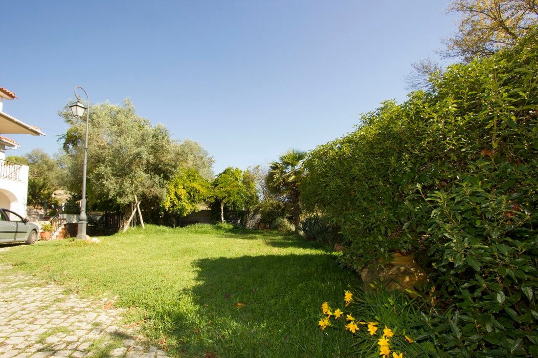 Farm Ranch in Aljubarrota, Leiria District, Portugal 3 - 12859742