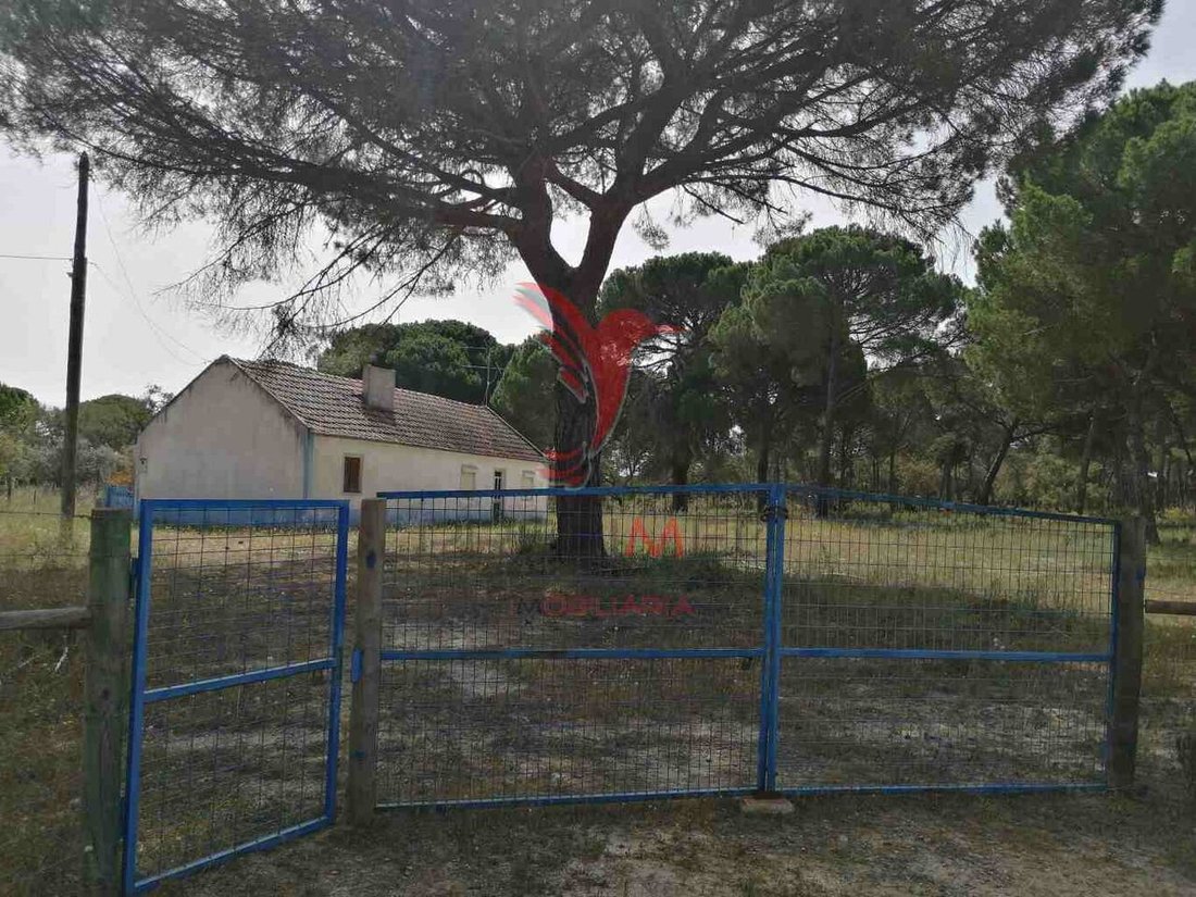 Farm Ranch in Grandola e Santa Margarida da Serra, Setubal, Portugal 4 - 12861133