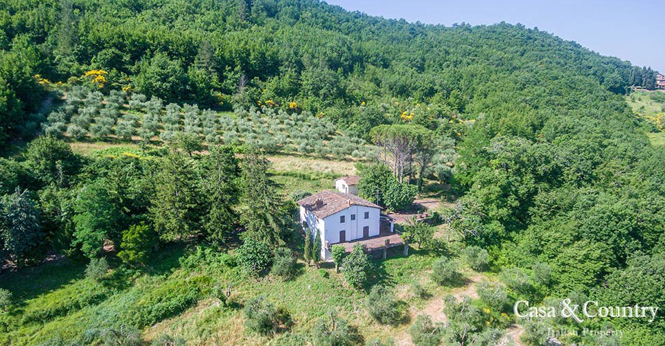 House in Center, Florence, Tuscany 4 - 10672518