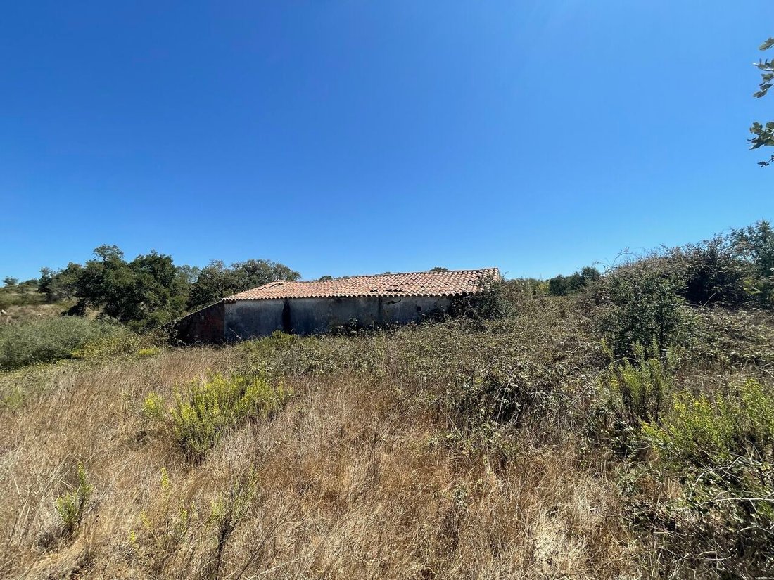 Land in S.Teotónio, Beja District, Portugal 1 - 12858324