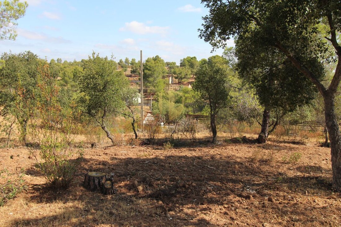Land in Azinhal, Algarve, Portugal 4 - 12860968