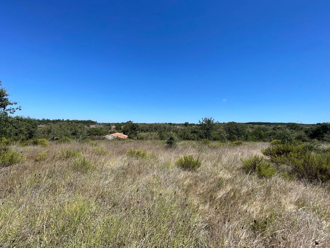 Land in S.Teotónio, Beja District, Portugal 3 - 12858324