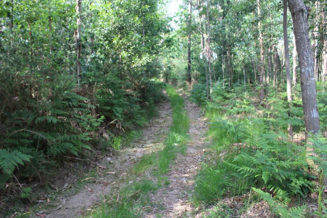 Land in Mazedo e Cortes, Viana do Castelo District, Portugal 1 - 12866748