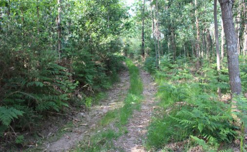 Terreno a Mazedo e Cortes, Distretto di Viana do Castelo, Portogallo 1