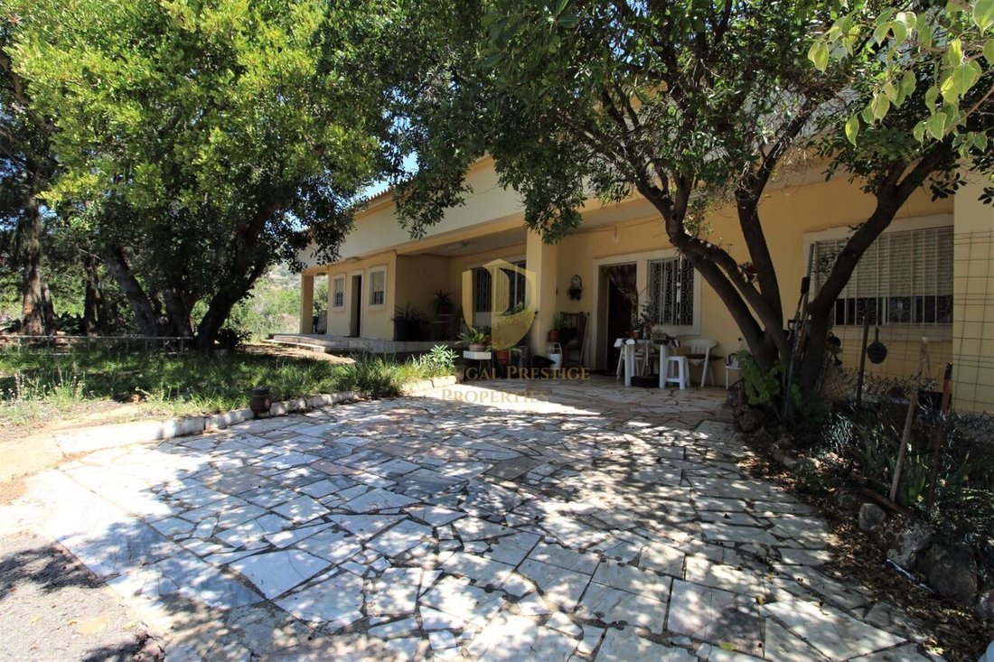 House in Santa Barbara de Nexe, Algarve, Portugal 3 - 12861684