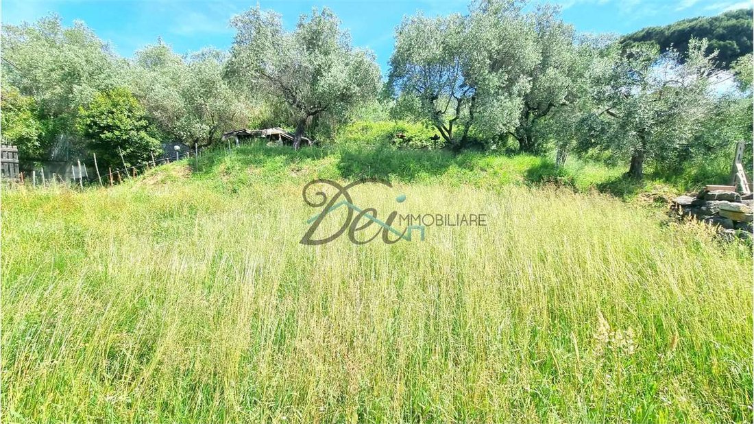 Estate in Gragnano - Lappato, Capannori, Tuscany 4 - 12868166