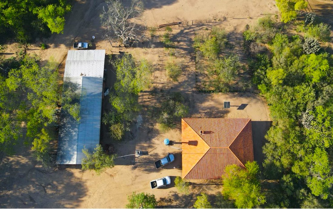 5250 Hectares And An Amazing Farm In Filadelfia, Boquerón Department