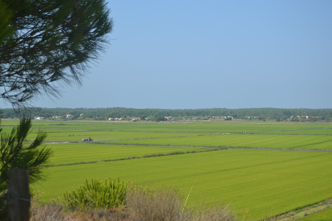 Land in Comporta, Setubal, Portugal 4 - 12870023