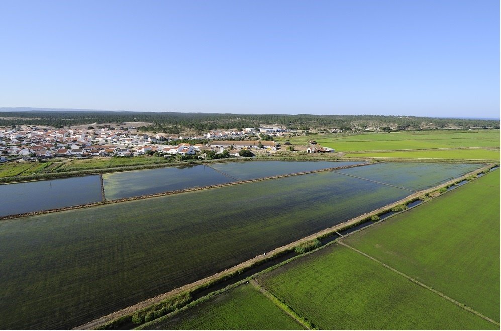 Land in Comporta, Setubal, Portugal 5 - 12870023