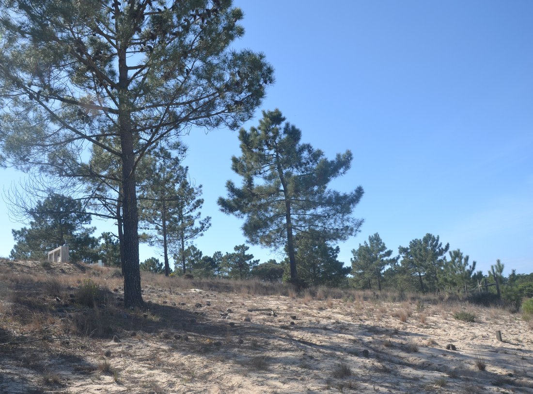 Land in Comporta, Setubal, Portugal 2 - 12870023