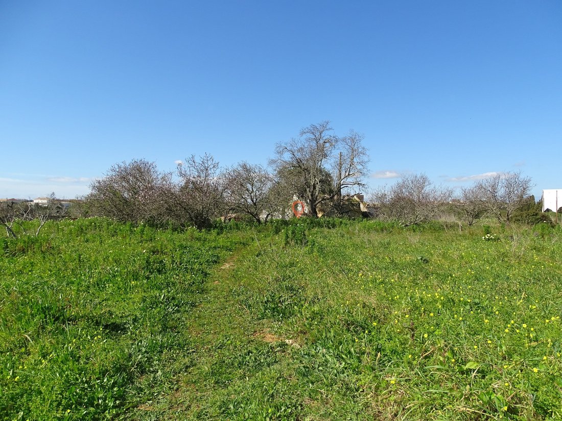 Land in Sao Goncalo de Lagos, Algarve, Portugal 2 - 12869731
