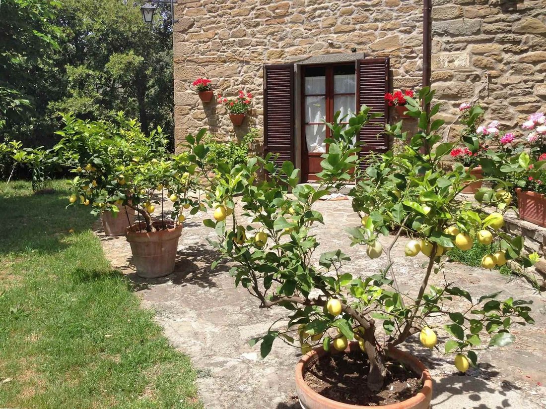 Country House in Center, Cortona, Tuscany 3 - 12871065
