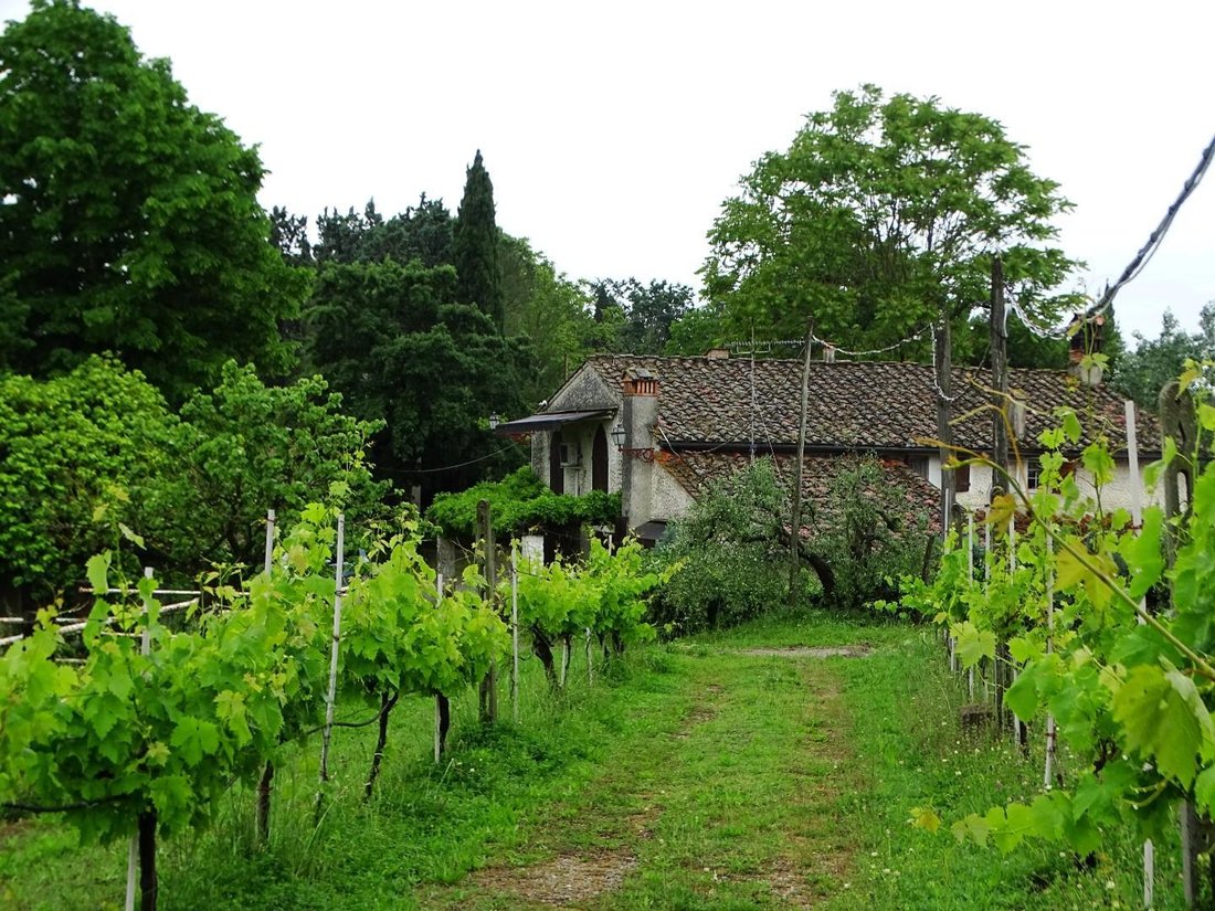 Villa in Cigoli, San Miniato, Tuscany, Italy 2 - 11794739