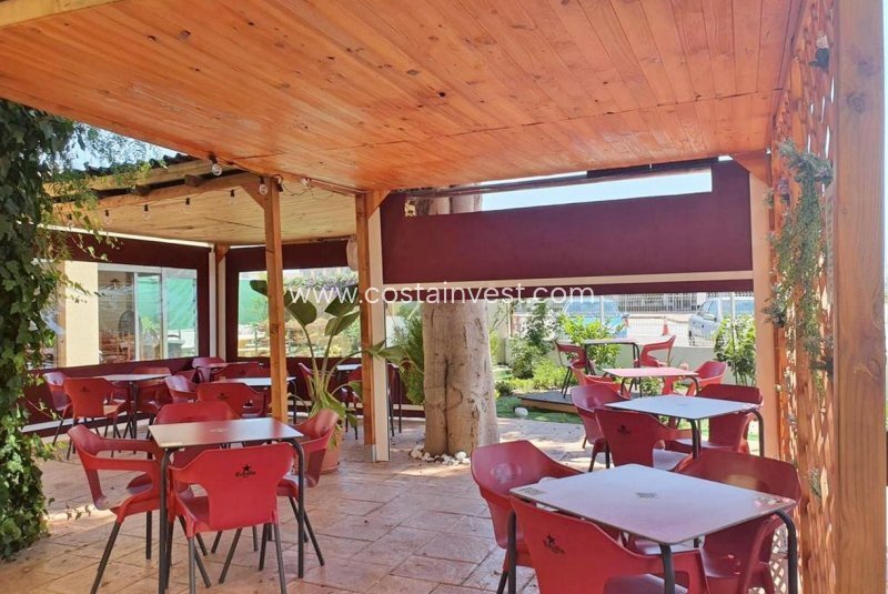 Almoradi, Valencian Community, Spain 3 - 12873907