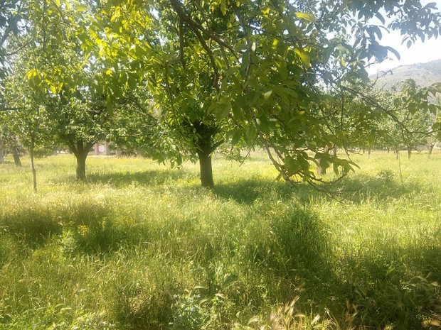 Luxury homes for sale in Santa Maria A Vico, Campania, Italy JamesEdition