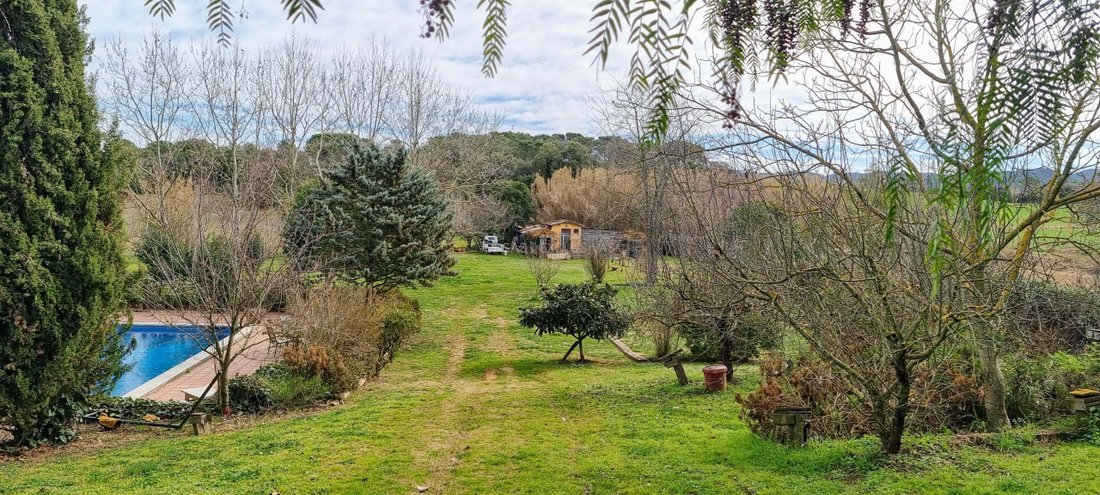 Farm Ranch in Cruilles, Monells i Sant Sadurni de l'Heura, Catalonia, Spain 1 - 12876717