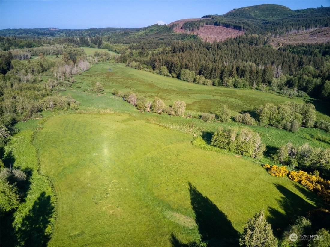 House in Shelton, Washington, United States 4 - 12876788