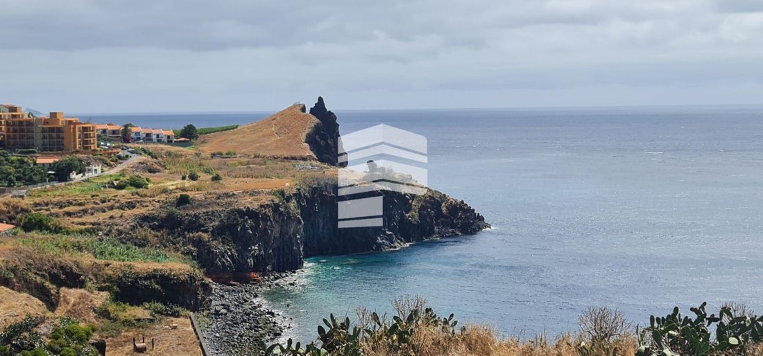 Land in Reed, Madeira, Portugal 1 - 12878391