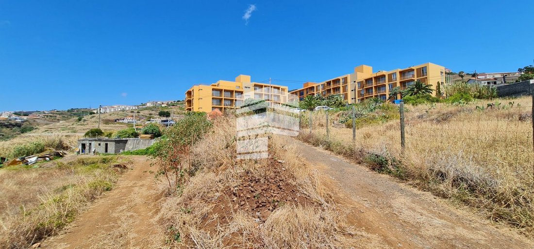Land in Reed, Madeira, Portugal 3 - 12878391