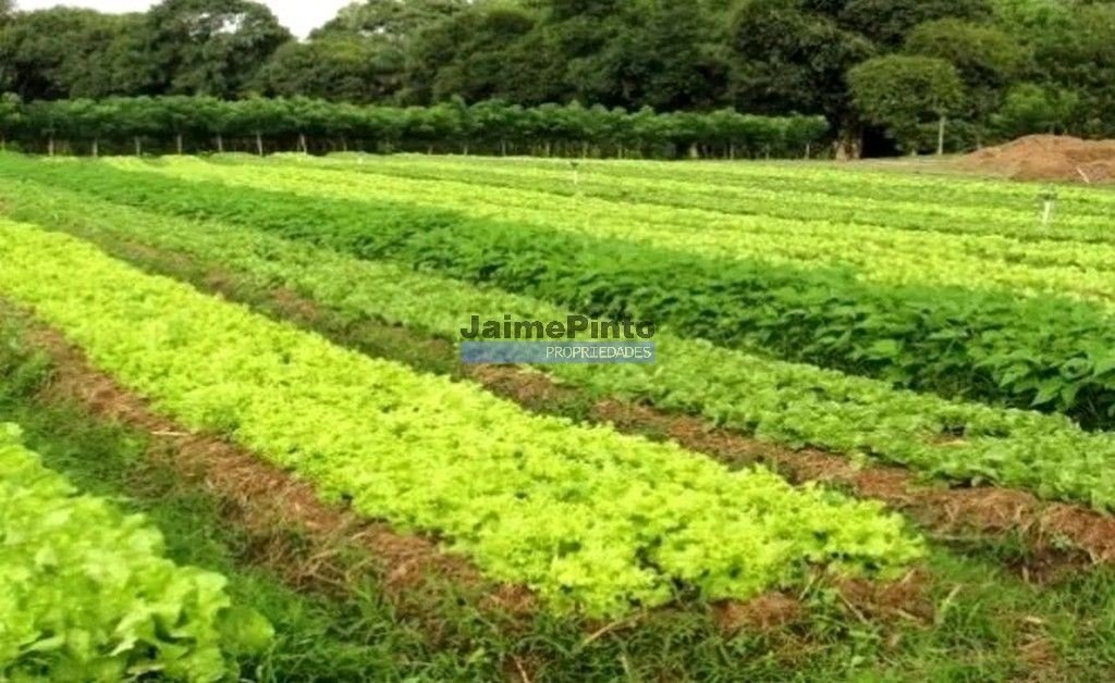 Land in Loule (Sao Clemente), Algarve, Portugal 1 - 12878336