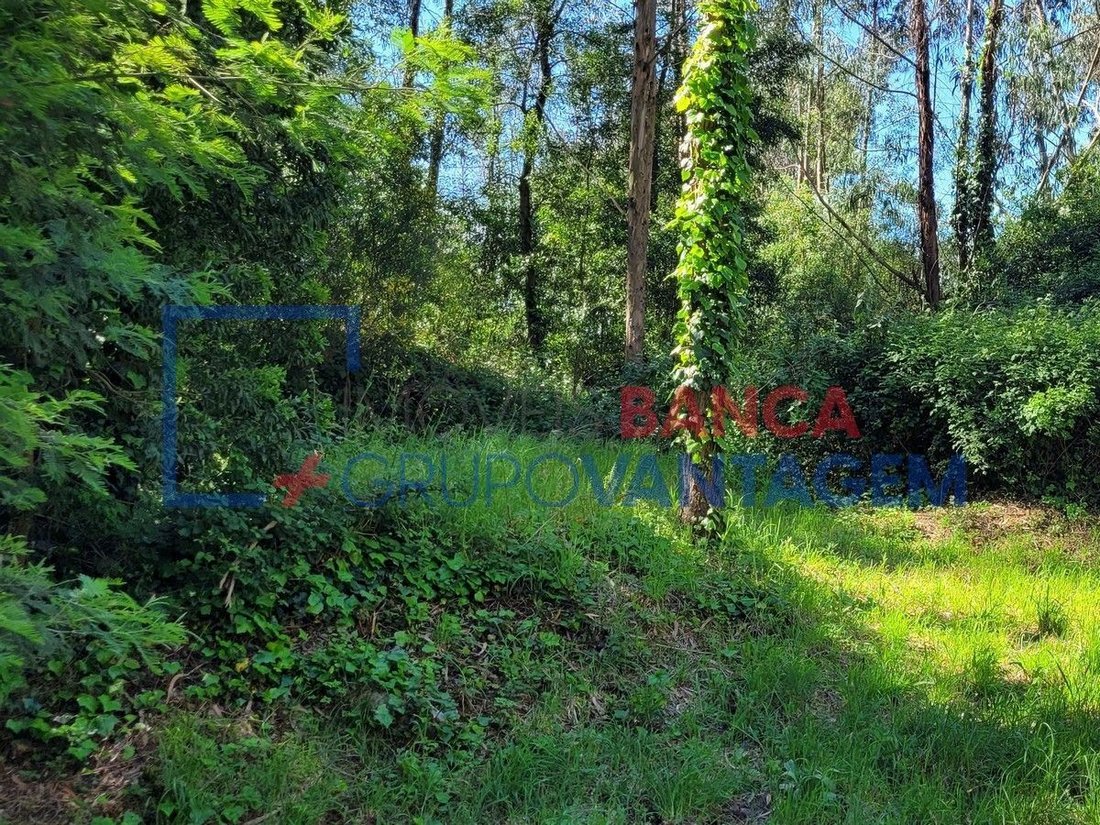 Porto Land In Porto, Porto District, Portugal For Sale (12453273)