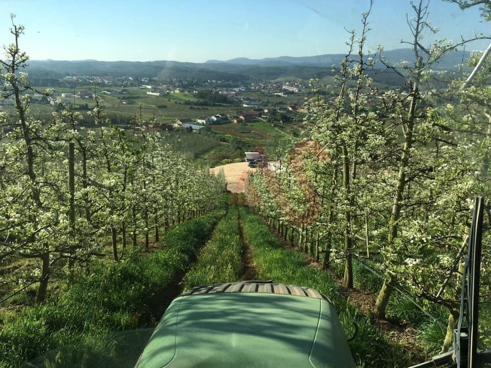 Farm Ranch in Alguber, Lisbon, Portugal 2 - 12880999