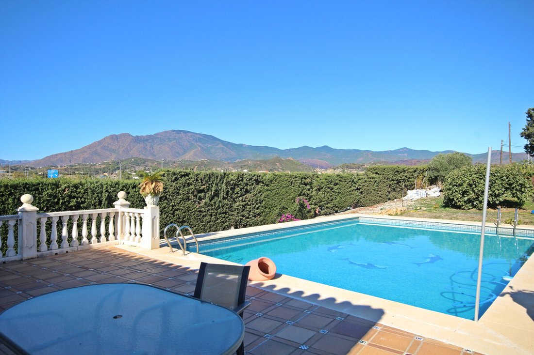 Estepona, Andalusia, Spain 1 - 12882814