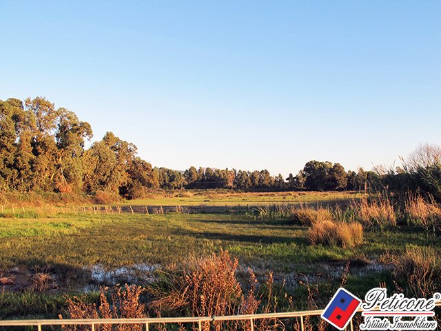 Land in Salto - Sant'Antonio - Rio Claro, Fondi, Lazio 1 - 12882019