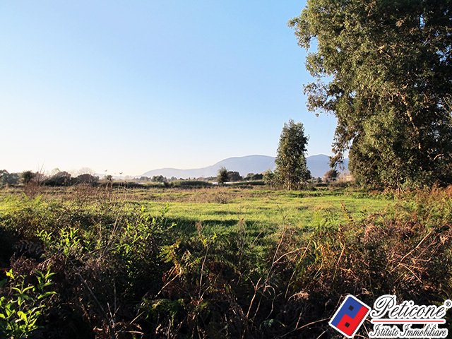 Land in Salto - Sant'Antonio - Rio Claro, Fondi, Lazio 2 - 12882019