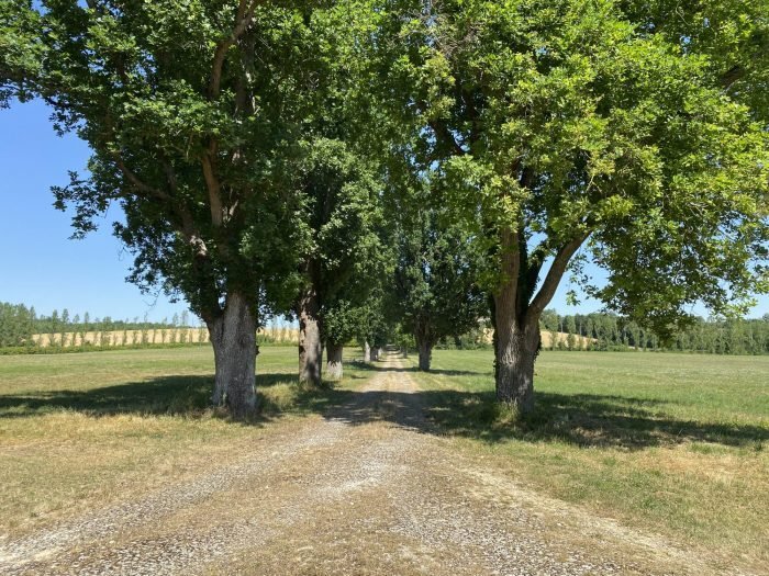 Maignaut Tauzia Château In Maignaut Tauzia, Occitanie, France For Sale ...