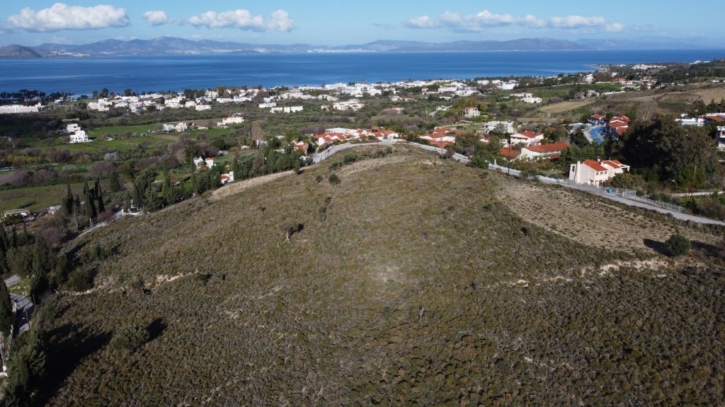 Land in Kos, Aegean, Greece 2 - 12778264