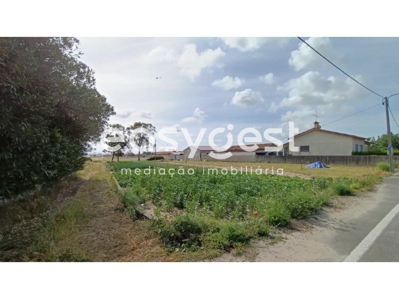 Land With 2 Fronts And Ria View In In Torreira, Aveiro District