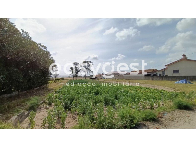 Land With 2 Fronts And Ria View In In Torreira, Aveiro District