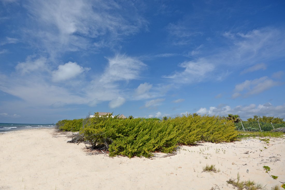 Land in Puerto Morelos, Quintana Roo, Mexico 3 - 12887460
