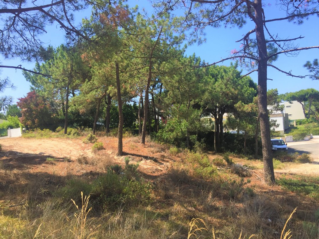 Terreno a Comporta, Setúbal Municipality, Portogallo 5 - 12884691