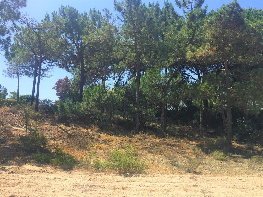 Terreno a Comporta, Setúbal Municipality, Portogallo 4 - 12884691